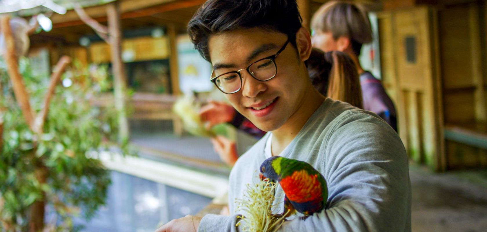 Visitor enjoying an encounter with a local lorikeet at the the bird brunch feeding time in Blackbutt Reserve, Newcastle.