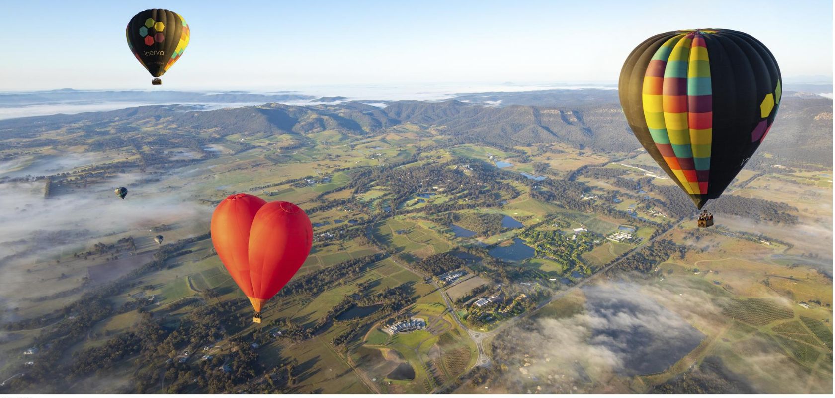 Hot air balloons flying over Pokolbin in the Hunter Valley.