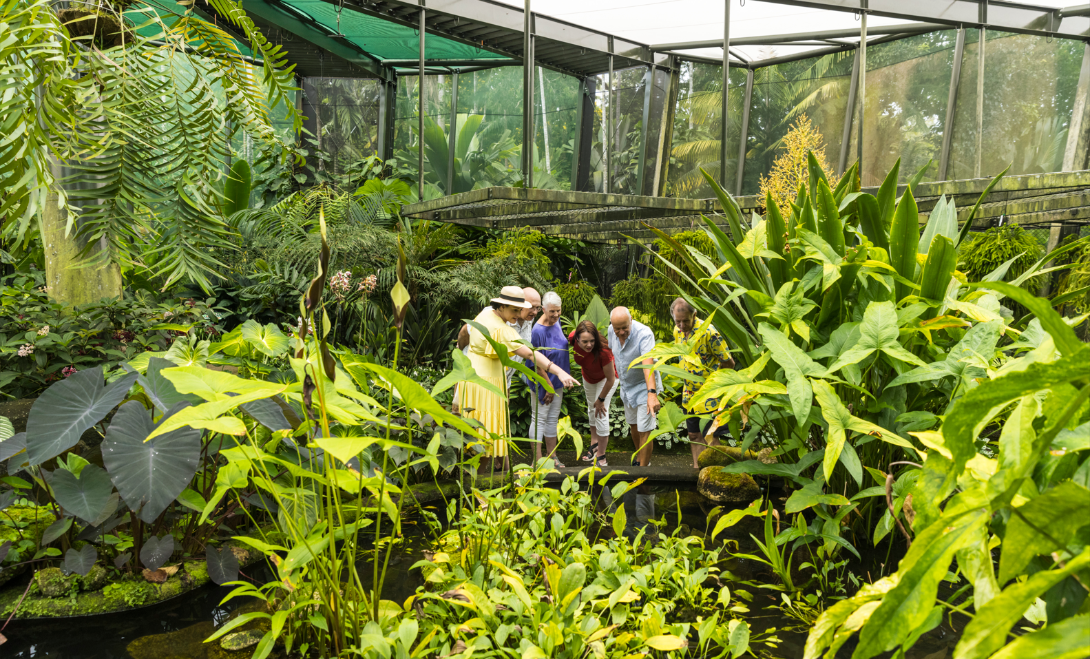 A Group Of People In A Greenhouse