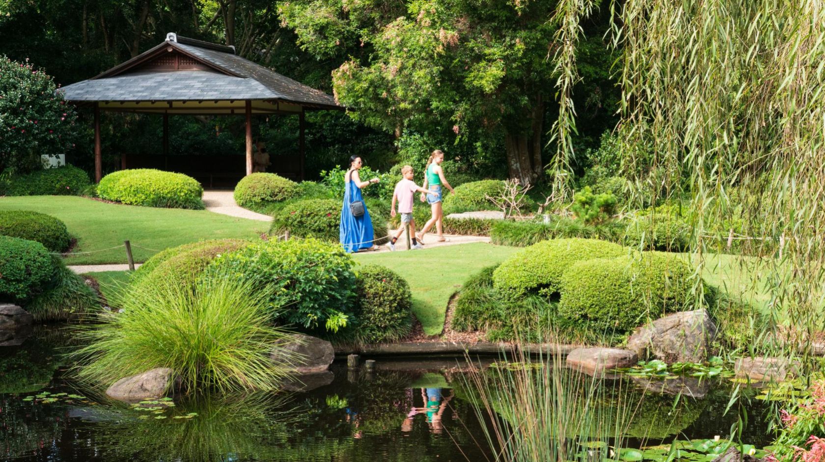 A Group Of People Standing In A Pond With Plants And Trees