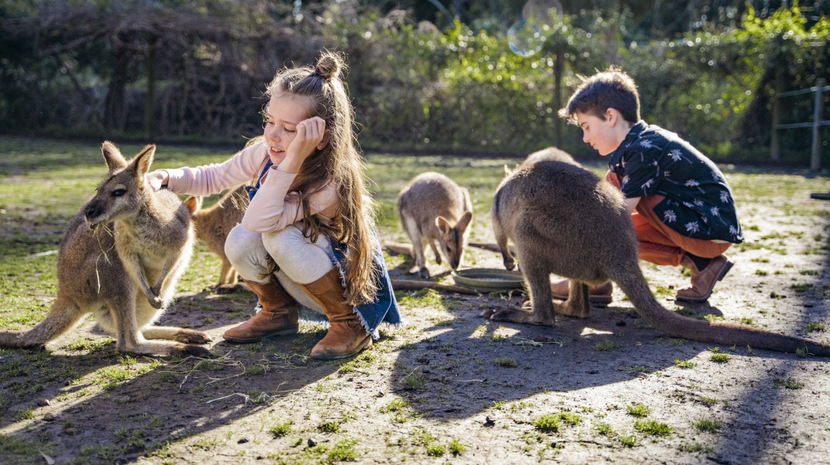 A Group Of People Playing With Animals